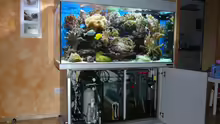 Technik im Aquarium Becken 6379