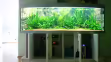Technik im Aquarium Becken 6860