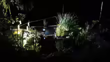 Teich mit Beleuchtung in der Nacht