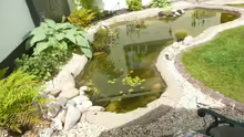 Teich Teich