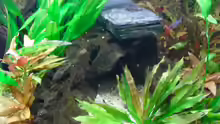 Schiffswrack