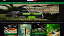 zierfische-kotterba.de