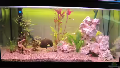 120 Liter Roter von Rio von Patrick S.