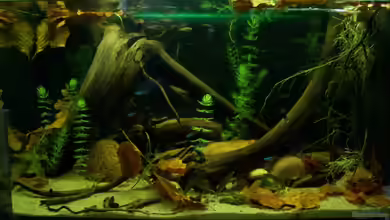 130l Südamerika von Tom Rudolph