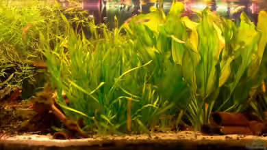 160L von Lexterpower