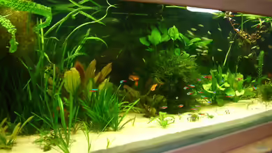 2. Becken von Frank Krüger