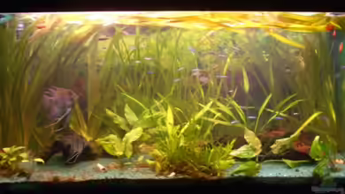 200L Südamerika - existiert nicht mehr ... von Sirko Fricke