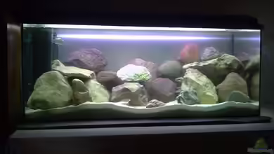 200L Tanganjika- Becken existiert nicht mehr von Tobias Seiffert