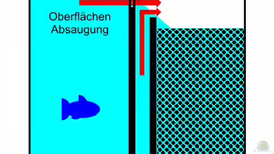 2in1 Oberflächen- UND Bodenabsaugung für den ??berlaufschacht