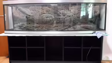 2m Panorama von Afrika NEUlinG