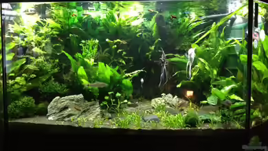 350 Liter Küche von LiWeBe