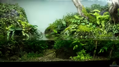 375l Riparium von -serok-