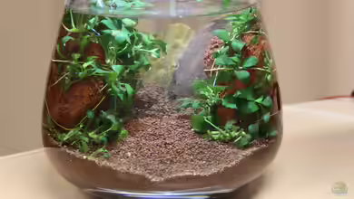 4-Liter Vase (aufgelöst) von c-th