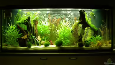 450l Gesellschafts-Pfütze ;) von kajakfreak