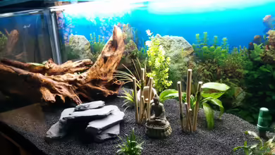 500L Fischeparadies von Didi Don