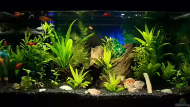 54 Liter von blubba123