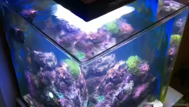 60l Miniriff von Mario_83