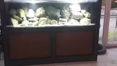 720 Liter Mbuna Becken von Daniel Hausener