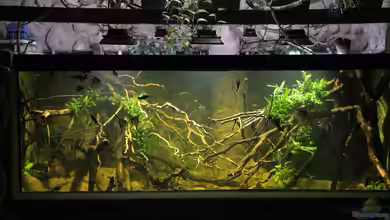 8.000L von Kurt Osterhoff