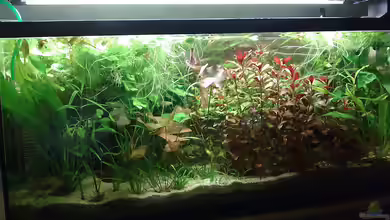 90L Sonnensturm von KRWLNG