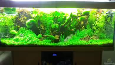 a touch of nature von Panamericana85