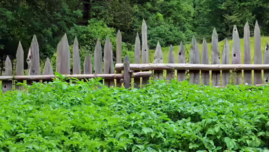 Abstand statt Diskussionen: Tipps für eine nachbarschaftsfreundliche Gestaltung im Naturgarten