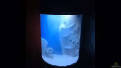 Acryl Zylinder von ray0815