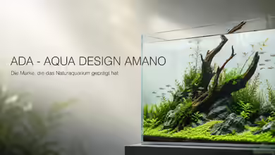 ADA – AQUA DESIGN AMANO: Die Marke, die das Naturaquarium geprägt hat