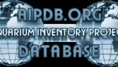 AIP Database