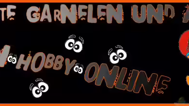 Alles rund um Garnelen im Aquarium