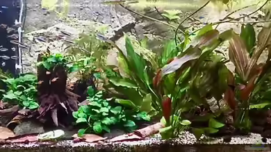 Along the Wall von Romano Grüter