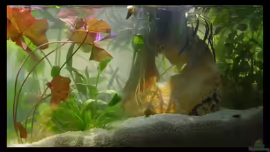 Am Fensterbrett I von mariajudyta