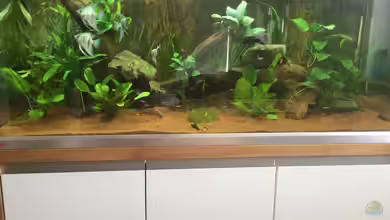 Amazonas-Becken von JensK