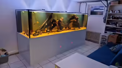 Amazonas im Keller von Stefan_KR