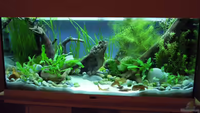 AquaDay 2012 von bergfrau