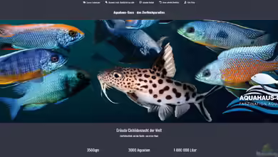 Aquahaus Gaus - Zierfische für dein Aquarium