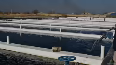 Aquakultur: Nachhaltige Fischzucht für die Zukunft