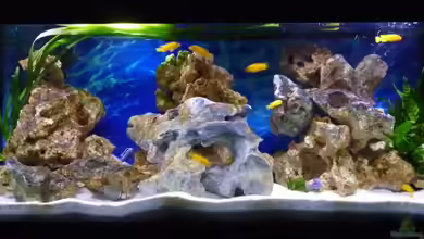 Aqualux von carina_3