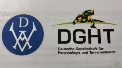 Aquarien- und Terrarien-Vereine ??? wozu? Teil zwei ??? JETZT ERST RECHT!