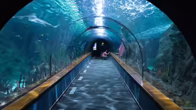 Aquarien als Design-Highlight: Interior-Trends 2026 für moderne Entertainment-Locations