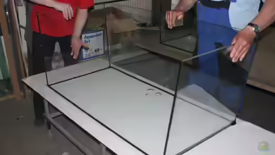 Aquarien mit Produkten von Aquarienkontor