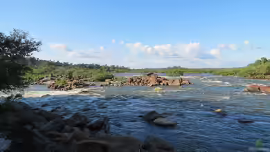 Aquarien nach Vorbild des Rio Xingu