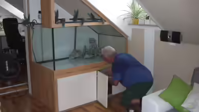 Aquarium im Dachgeschoss: Das musst du beachten!