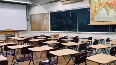 Aquarium im Klassenzimmer: Ein Leitfaden für Lehrkräfte und Schüler