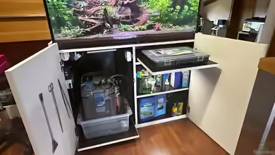 Aquariumschrank: Sicherer Unterbau, praktischer Stauraum und passende Basis für das Aquarium
