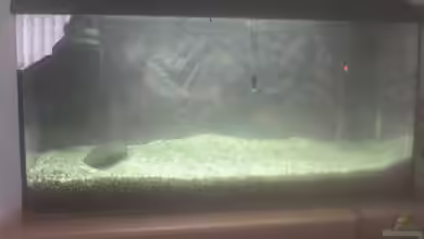 aquastar 60 von Manuel Hupertz