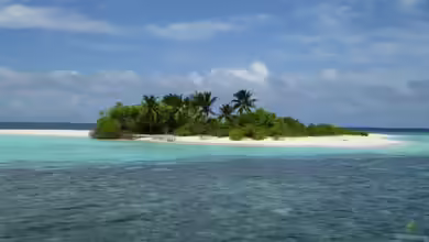 Arabisches Meer - Lebensraum zwischen Wüste, Monsun und Korallenriffen