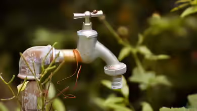 Armaturen im Garten: Funktionalität und Ästhetik kombiniert