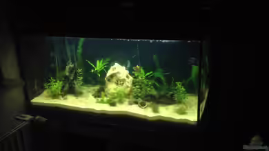 Asien von Sebastian Hodel