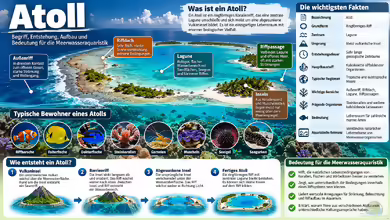Atolle - Entstehung, Aufbau und Bedeutung für die Meerwasseraquaristik